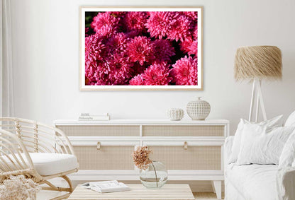 Pink Chrysanthemum Flowers View Photograph Home Decor Premium Quality Poster Print Choose Your Sizes