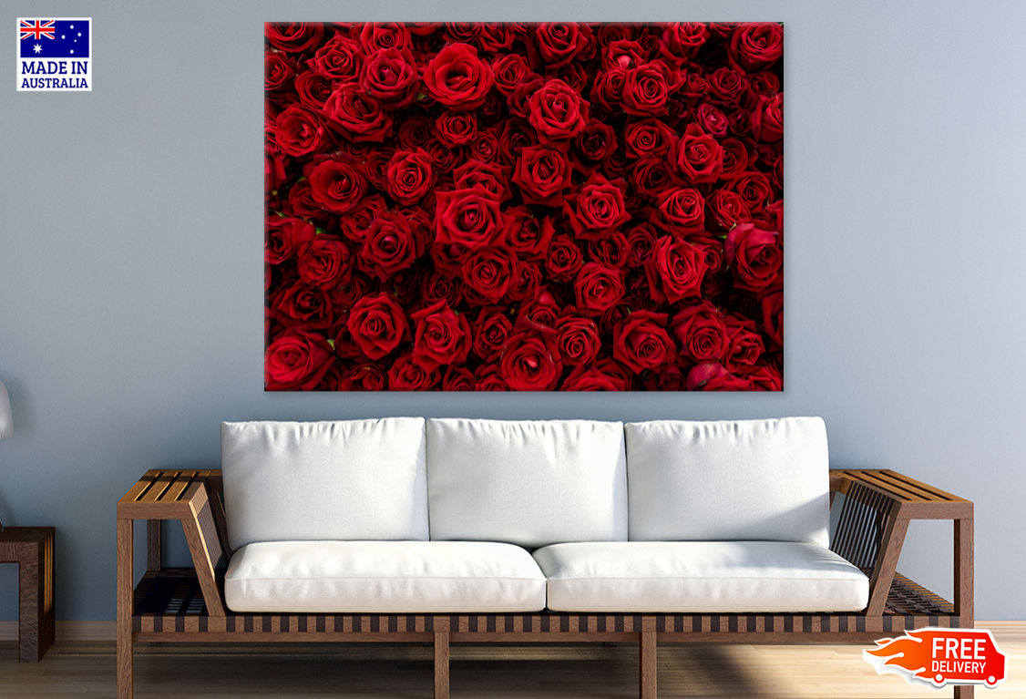 Red Rose Flowers Photograph Print 100% Australian Made