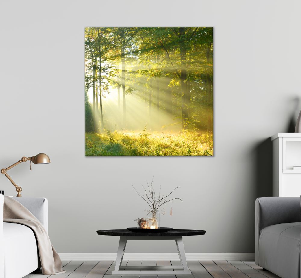 Square Canvas Autumn Morning in Forest View Photograph High Quality Print 100% Australian Made