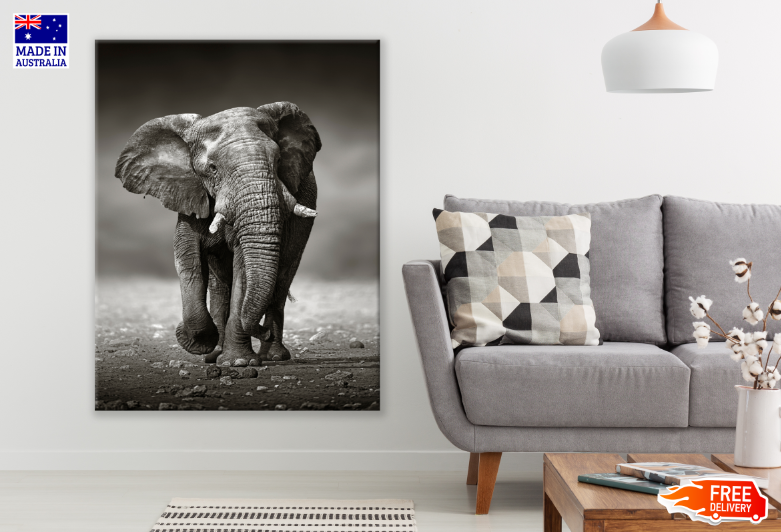 Walking Elephant B&W Photograph Print 100% Australian Made