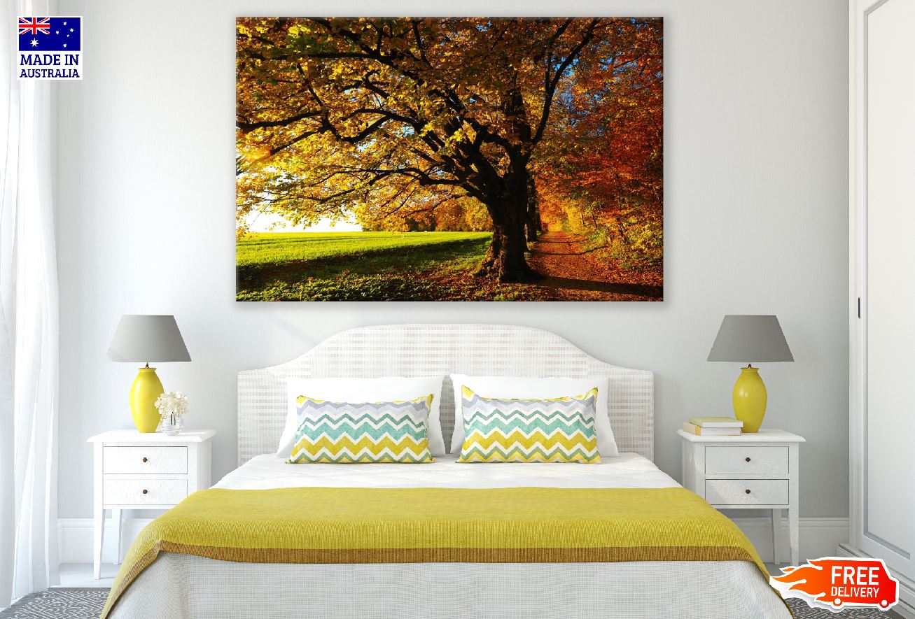 Autumn Linden Trees on a Sunny Photograph Print 100% Australian Made