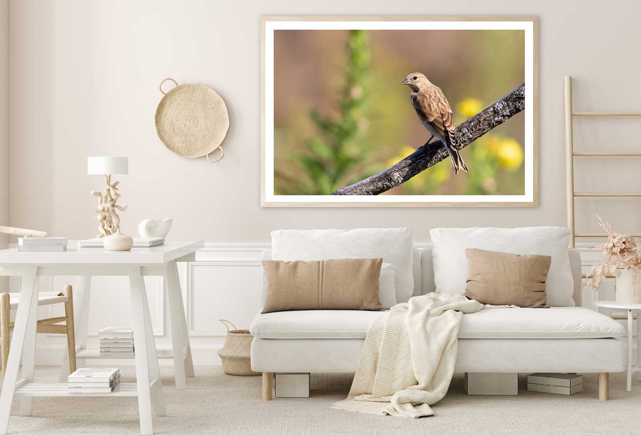 Young Bird on Branch Closeup View Photograph Home Decor Premium Quality Poster Print Choose Your Sizes