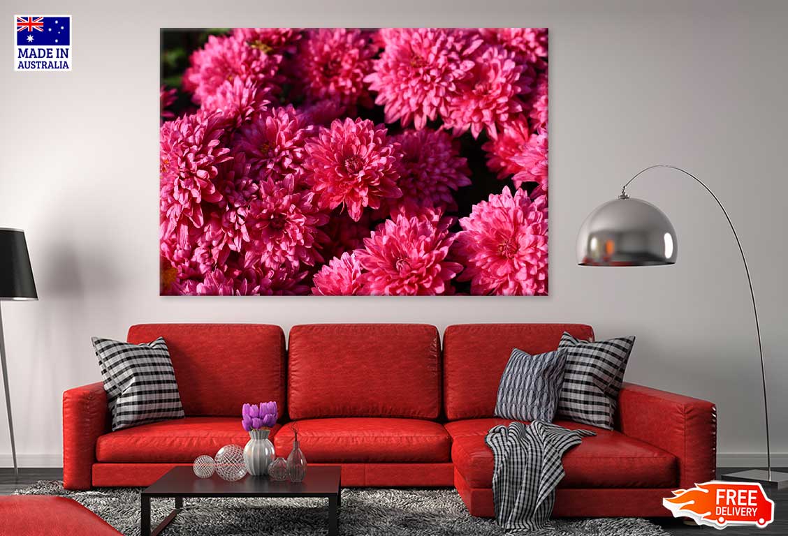 Pink Chrysanthemum Flowers View Photograph Print 100% Australian Made