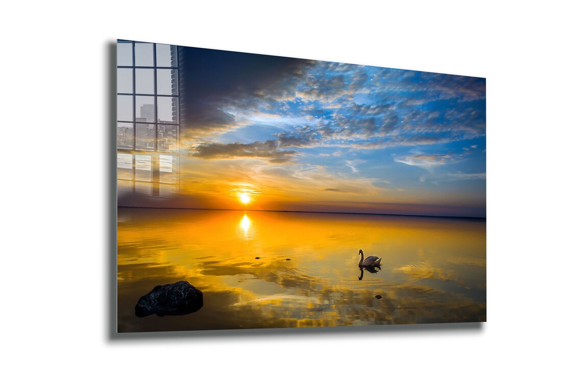 Swan on Lake Sunset Print Tempered Glass Wall Art 100% Made in Australia Ready to Hang