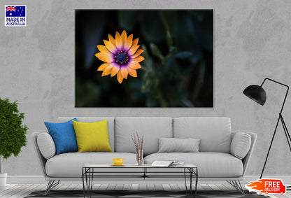 Bright Orange Purple Flower View Photograph Print 100% Australian Made