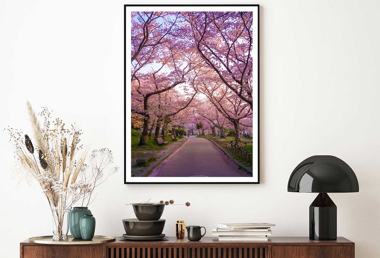 Cherry Blossom Trees Road Scenery View Photograph Home Decor Premium Quality Poster Print Choose Your Sizes