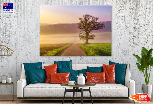 Tree in Misty Summer View Photograph Germany Print 100% Australian Made