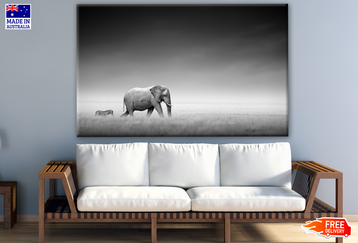 Elephant & Zebra Walking B&W Photograph Print 100% Australian Made