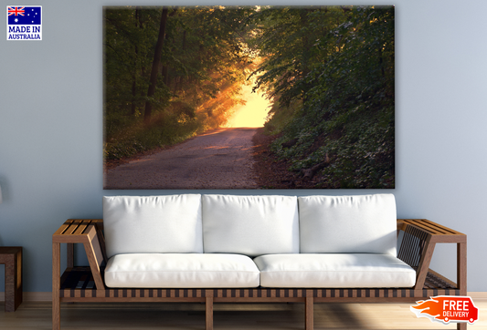 Road Between Forest Photograph Print 100% Australian Made