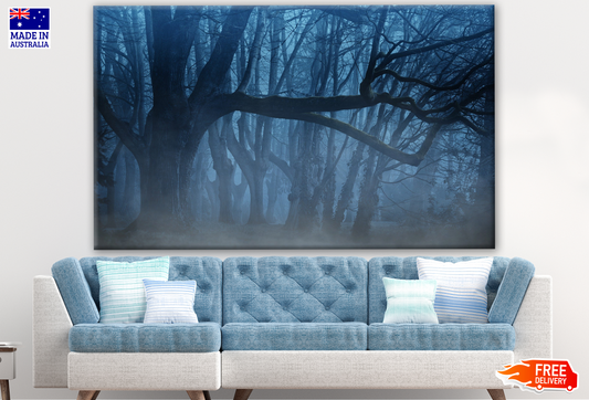 Tree in a Misty Forest Photograph Print 100% Australian Made