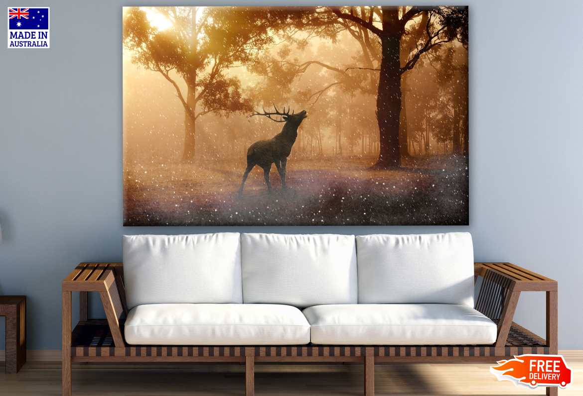 Deer Looking up Print 100% Australian Made