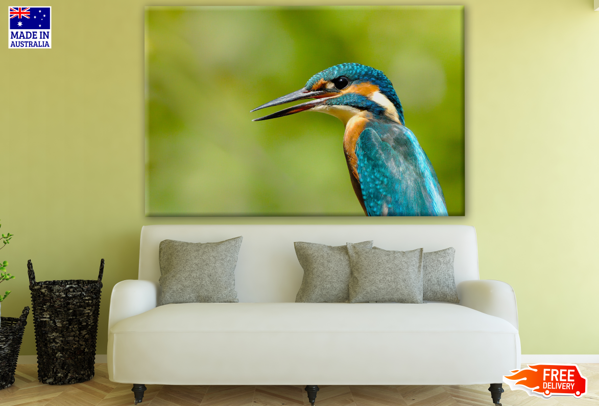 Kingfisher Portrait Photograph Print 100% Australian Made