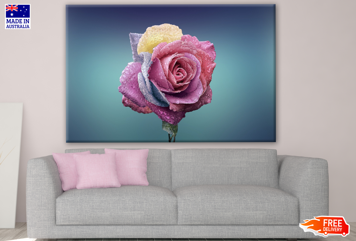 Colourful Flower Photograph Print 100% Australian Made