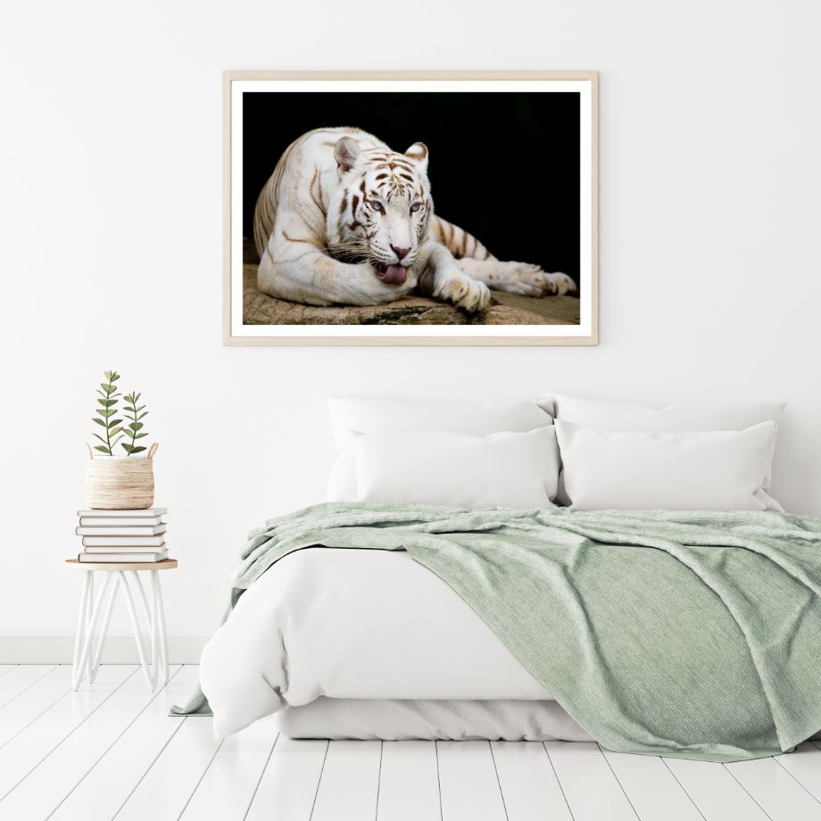 White Tiger Closeup Photograph Home Decor Premium Quality Poster Print Choose Your Sizes