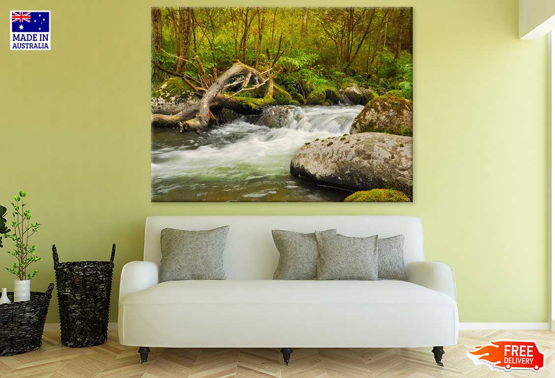 River in Deep Forest Photograph Print 100% Australian Made