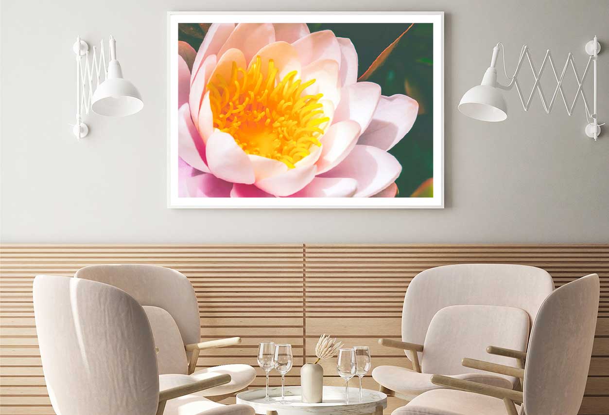 Pink Water Lily Closeup View Photograph Home Decor Premium Quality Poster Print Choose Your Sizes