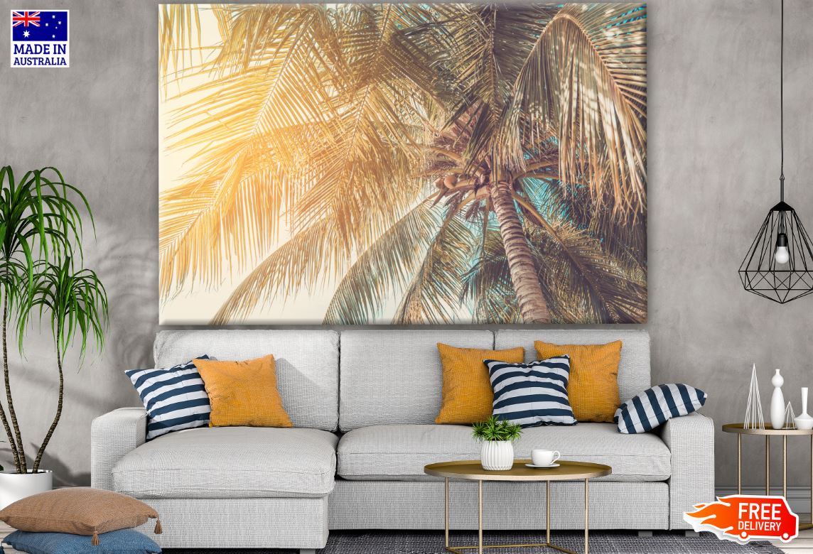 Palm Tree Closeup Photograph Print 100% Australian Made