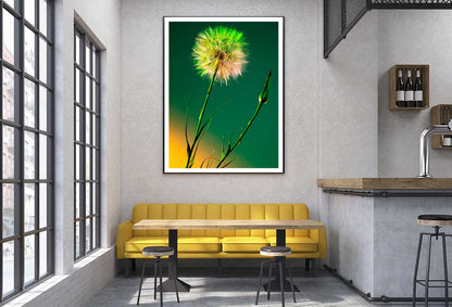 Dandelion over Dark Green Design Home Decor Premium Quality Poster Print Choose Your Sizes