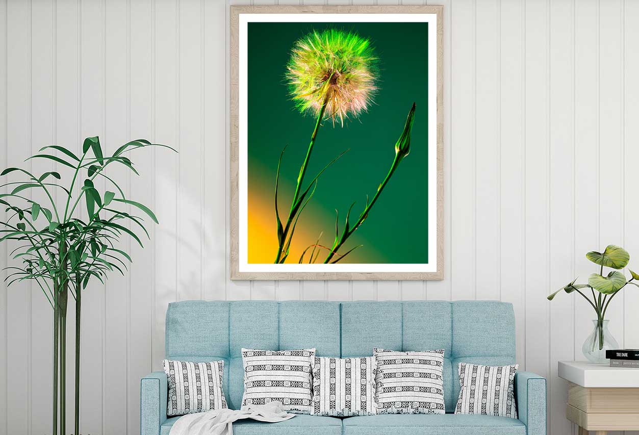 Dandelion over Dark Green Design Home Decor Premium Quality Poster Print Choose Your Sizes