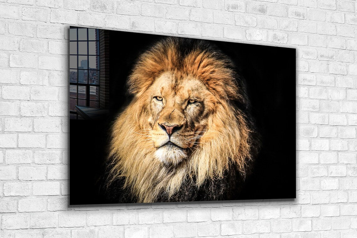 Lion Face Closeup View Print Tempered Glass Wall Art 100% Made in Australia Ready to Hang