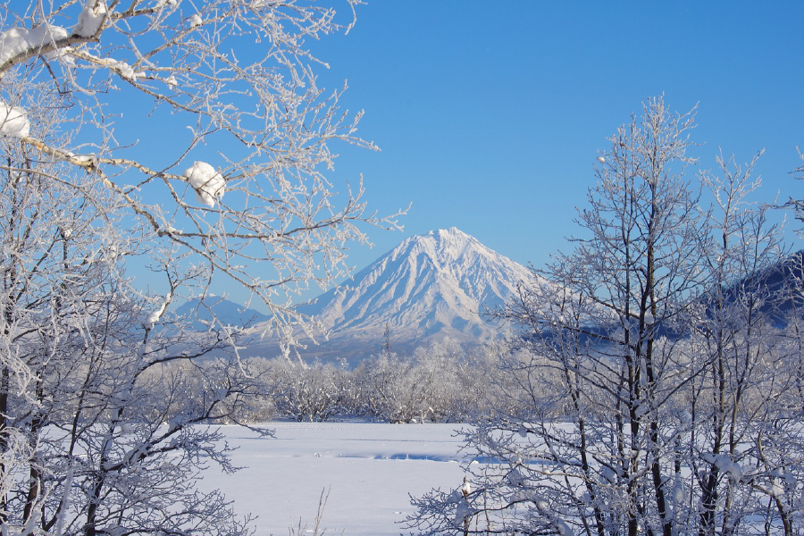 Snow Covered Forest & Mountain Scenery Photograph Print 100% Australian Made