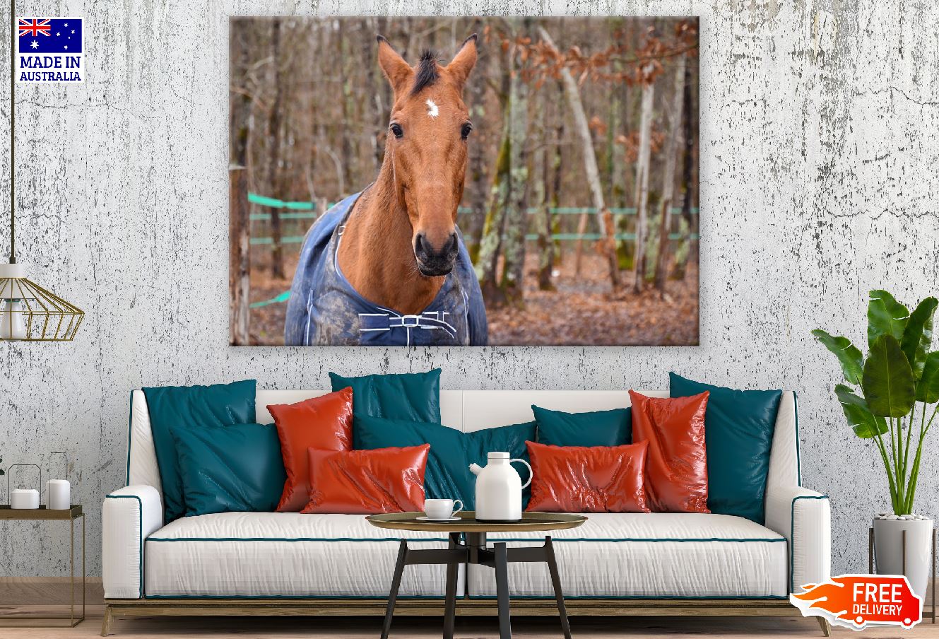 Sorrel Horse Closeup Photograph Print 100% Australian Made