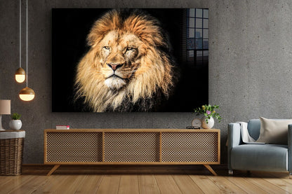 Lion Face Closeup View Print Tempered Glass Wall Art 100% Made in Australia Ready to Hang