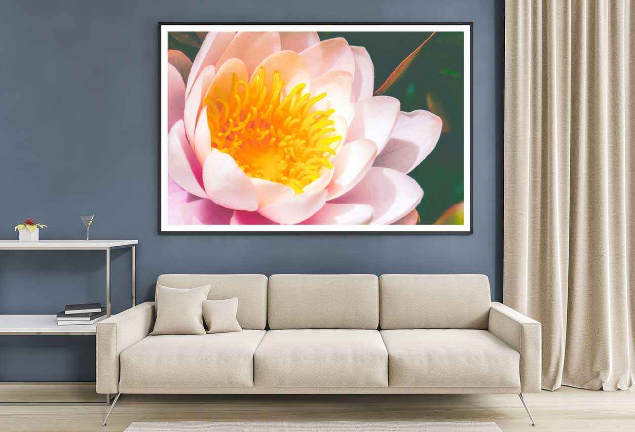 Pink Water Lily Closeup View Photograph Home Decor Premium Quality Poster Print Choose Your Sizes