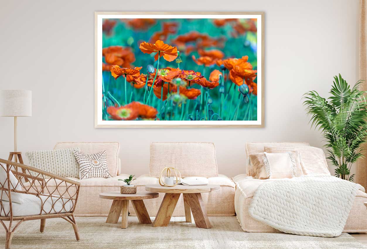 Orange Poppy Flower Field View Home Decor Premium Quality Poster Print Choose Your Sizes