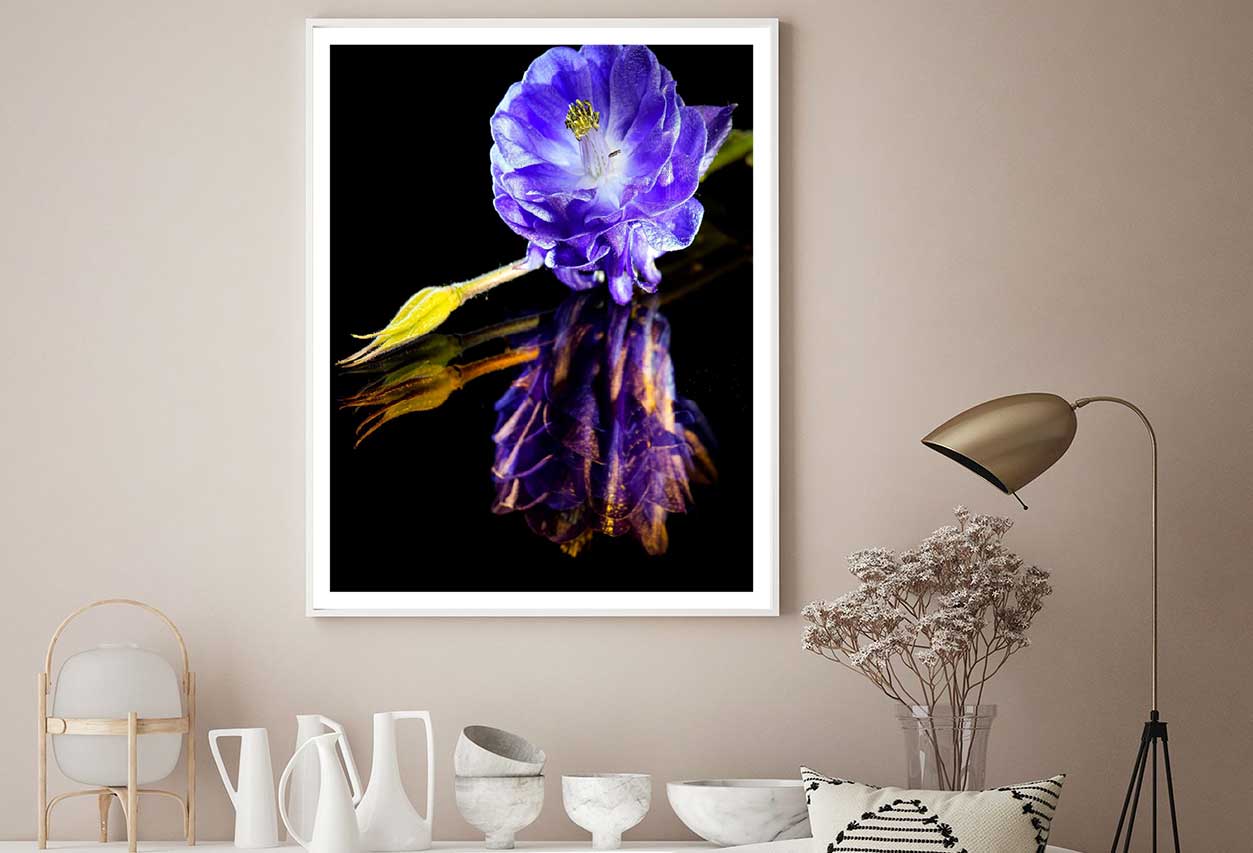 Blue Columbine Flower on Dark View Photograph Home Decor Premium Quality Poster Print Choose Your Sizes