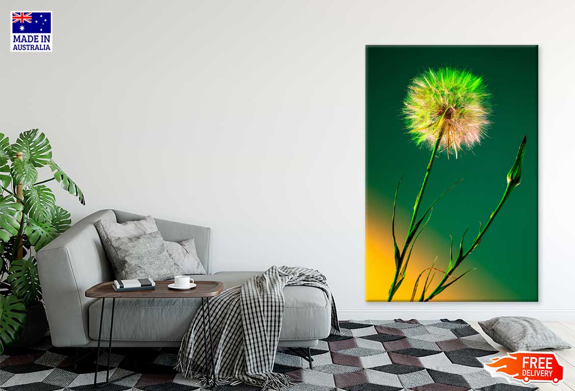 Dandelion over Dark Green Design Print 100% Australian Made