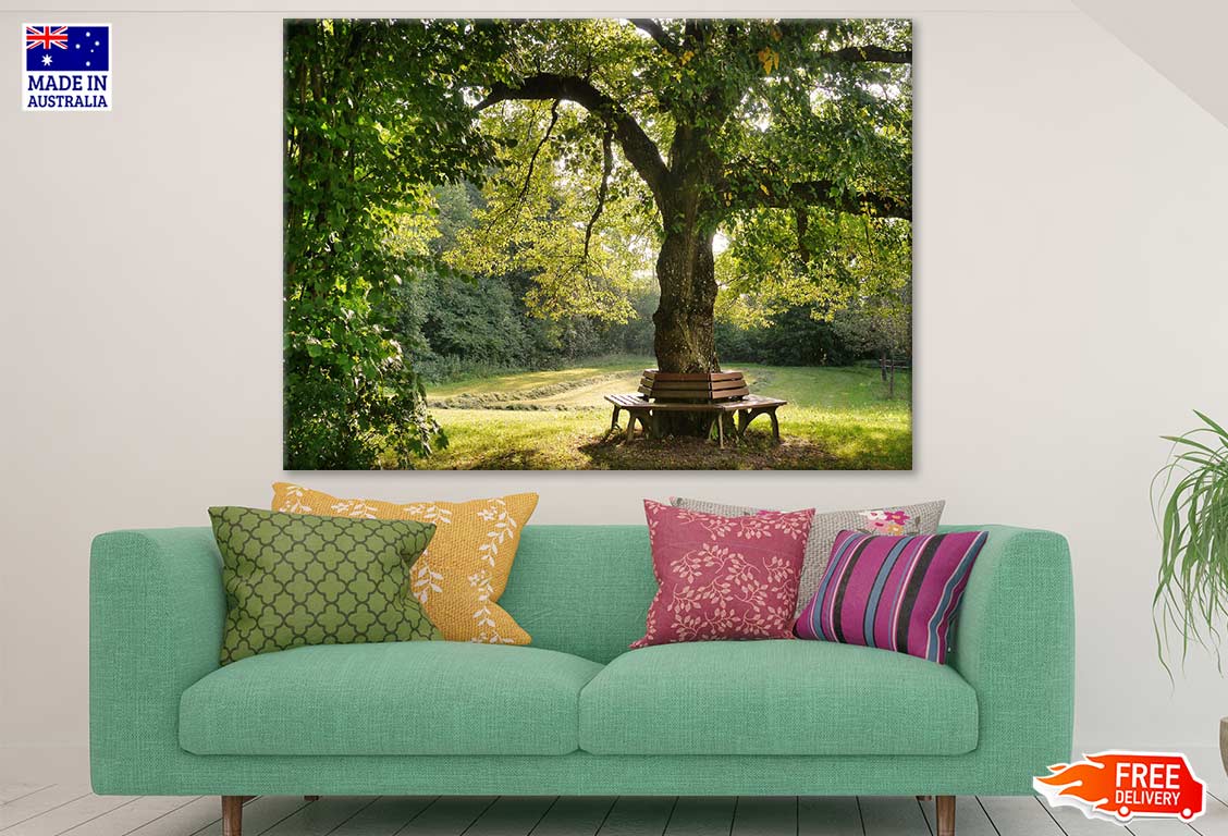 Bench Under Tree Photograph Print 100% Australian Made