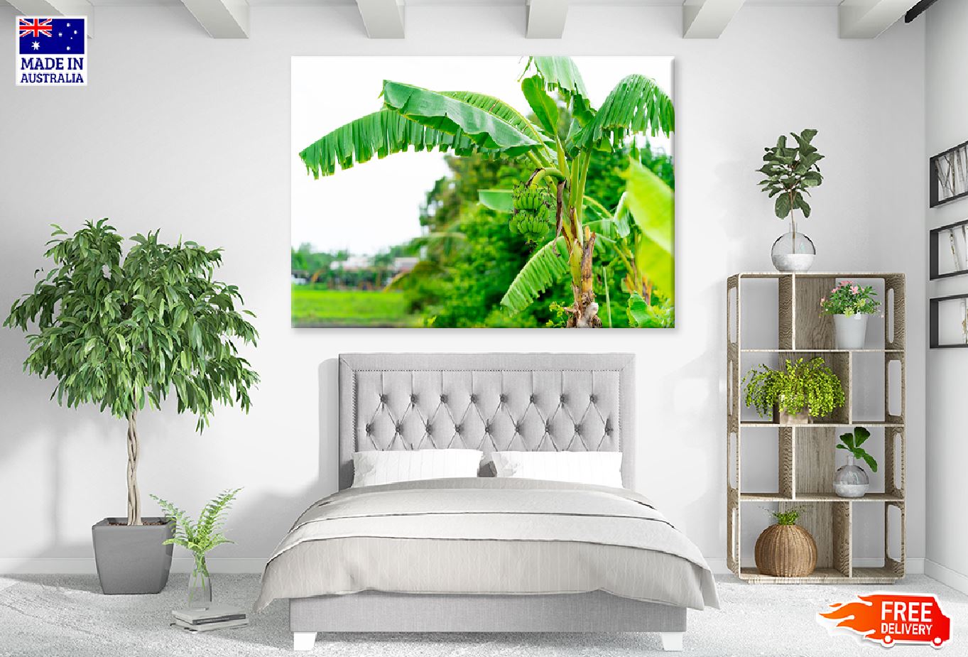 Banana Tree Closeup View Photograph Print 100% Australian Made