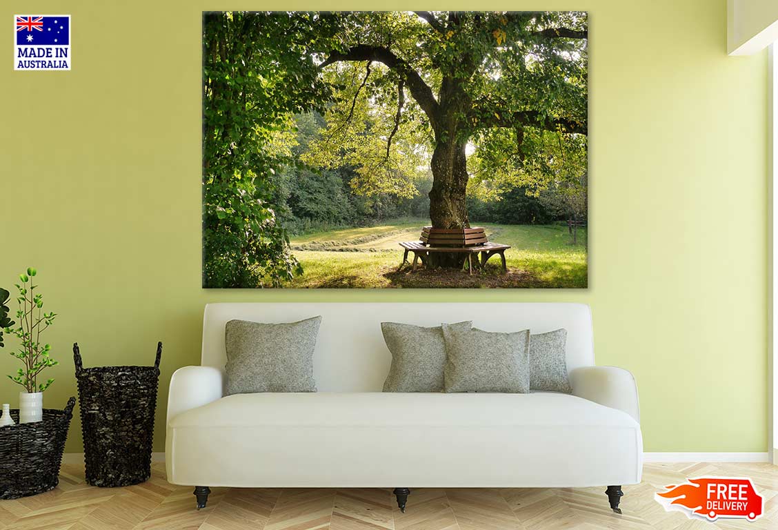 Bench Under Tree Photograph Print 100% Australian Made