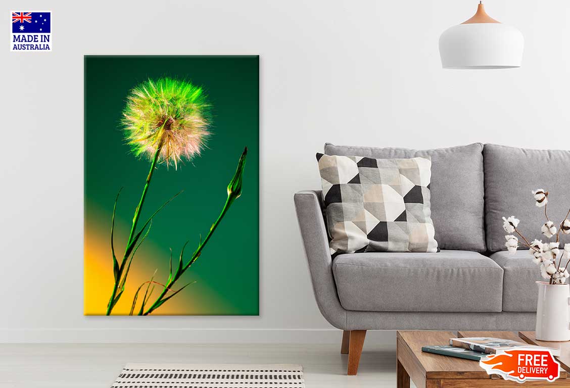 Dandelion over Dark Green Design Print 100% Australian Made