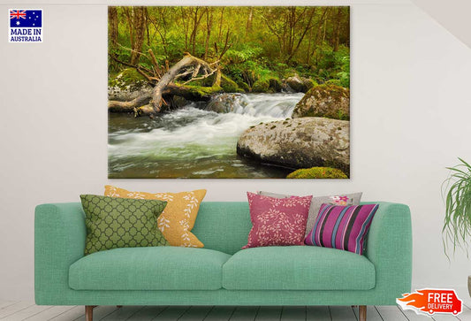 River in Deep Forest Photograph Print 100% Australian Made