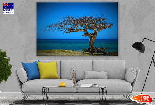 Old Dead Tree Near Sea Photograph Print 100% Australian Made