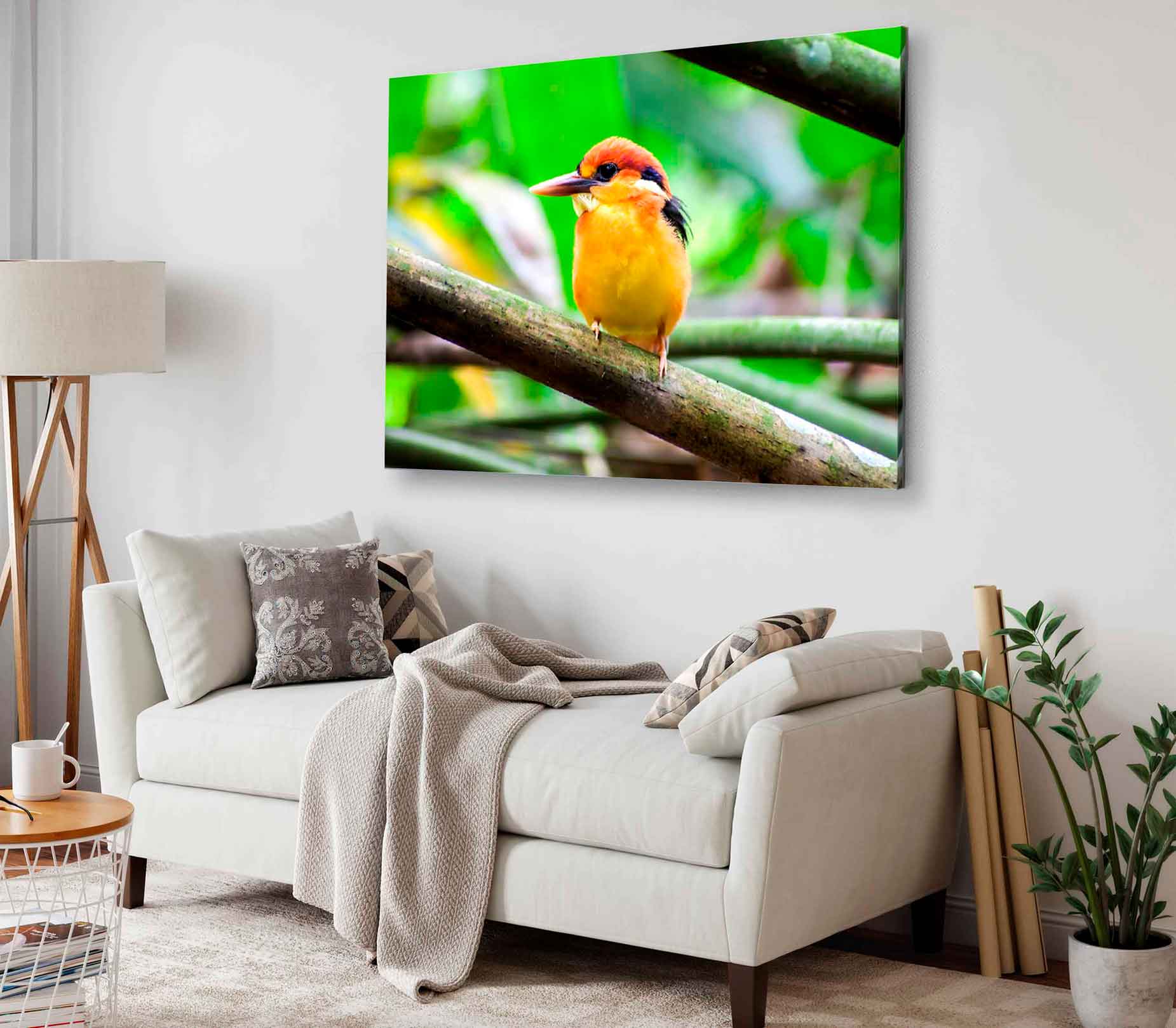 Bella Home Kingfisher on Tree Branch Closeup Print Canvas Ready to hang