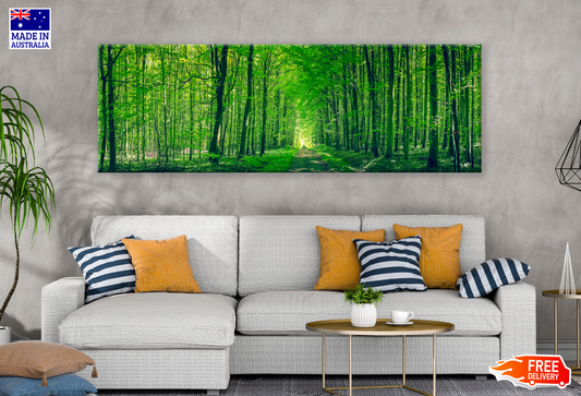Panoramic Canvas Green Forest High Quality 100% Australian made wall Canvas Print ready to hang