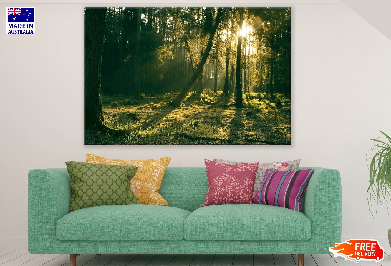 Mossy Forest with Warm Sunlight Photograph Print 100% Australian Made