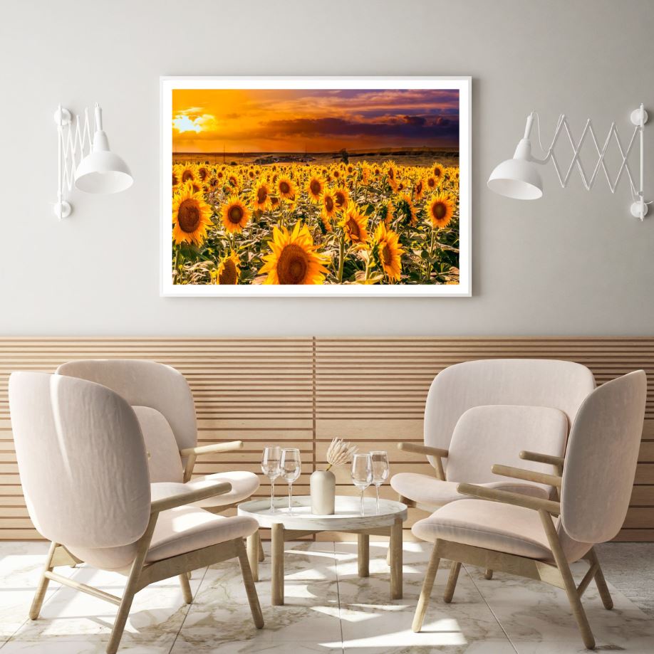 Sunflower Field Sunset Photograph Home Decor Premium Quality Poster Print Choose Your Sizes