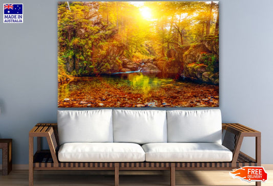 Autumn Forest Photograph Print 100% Australian Made