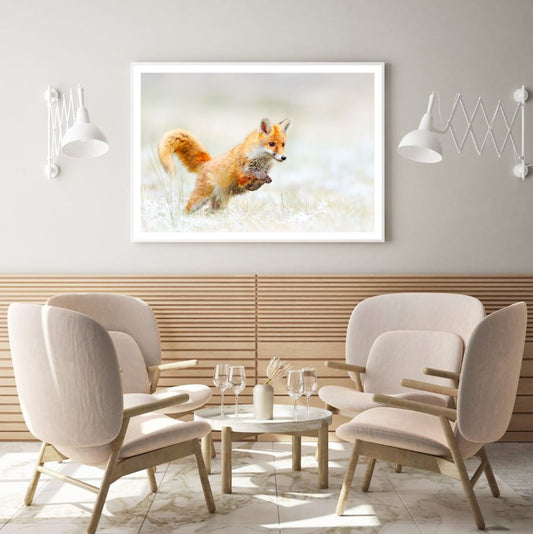 Fox Running in Field Photograph Home Decor Premium Quality Poster Print Choose Your Sizes