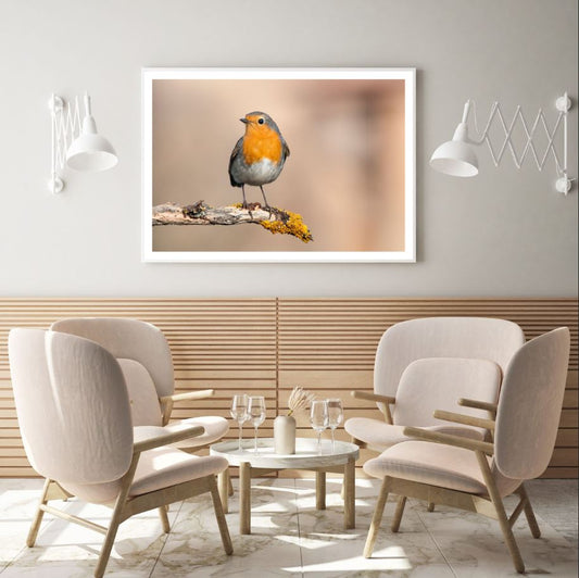 Bird Closeup Photograph Home Decor Premium Quality Poster Print Choose Your Sizes