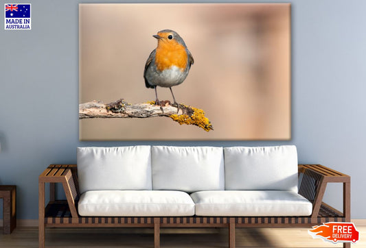 Small Bird On a Branch Photograph Print 100% Australian Made