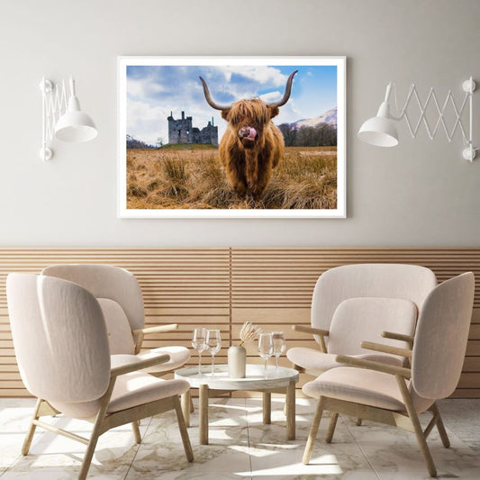 Highland Cow Closeup Photograph Home Decor Premium Quality Poster Print Choose Your Sizes