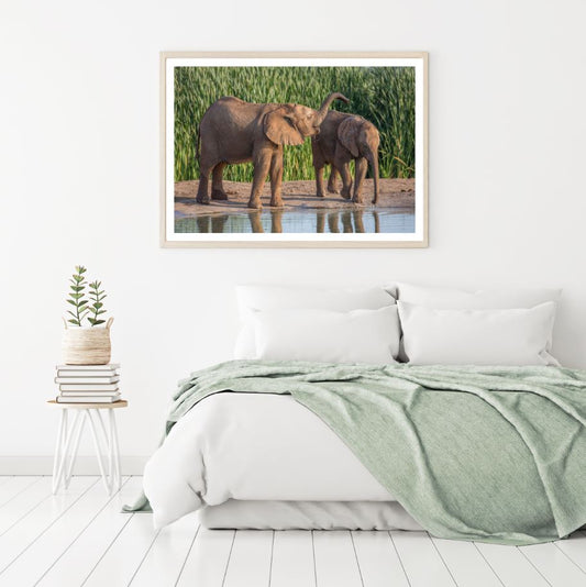 Elephants Near Lake Photograph Home Decor Premium Quality Poster Print Choose Your Sizes