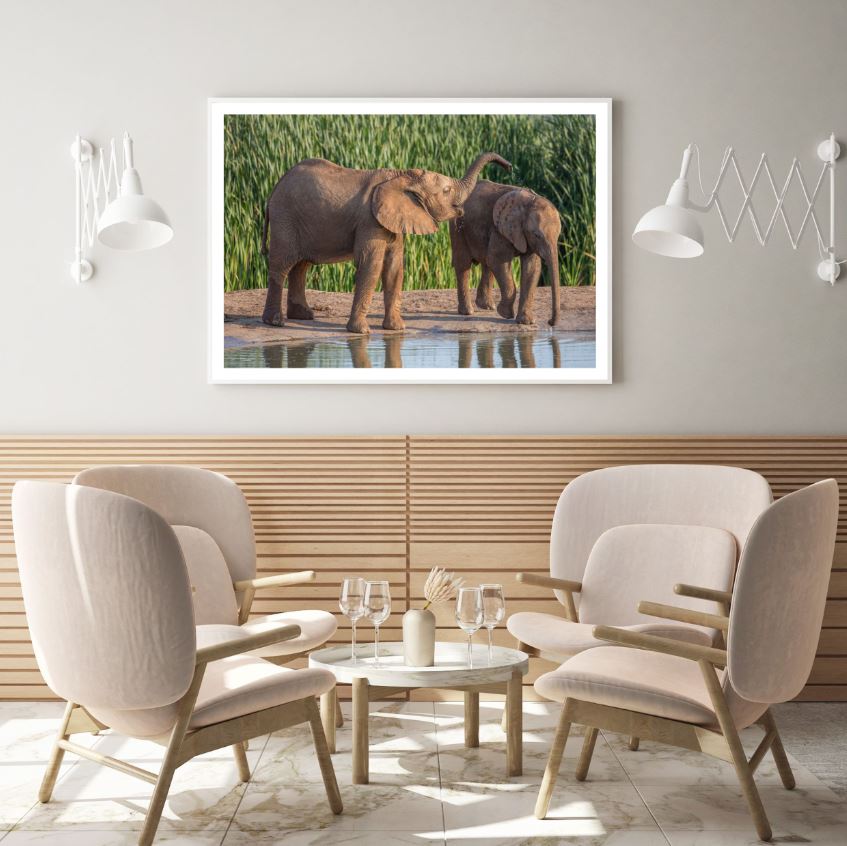 Baby Elephants Near Lake Scenery Photograph Home Decor Premium Quality Poster Print Choose Your Sizes