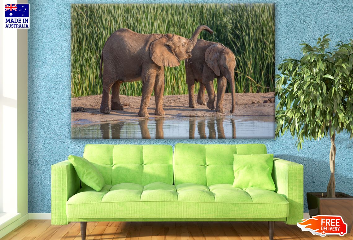 Elephants Near Lake Photograph Print 100% Australian Made