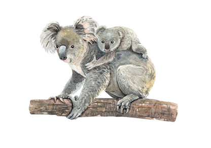 Koala Bear & Baby Watercolour Painting Print 100% Australian Made